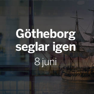 Business opportunities in a world that is opening up again