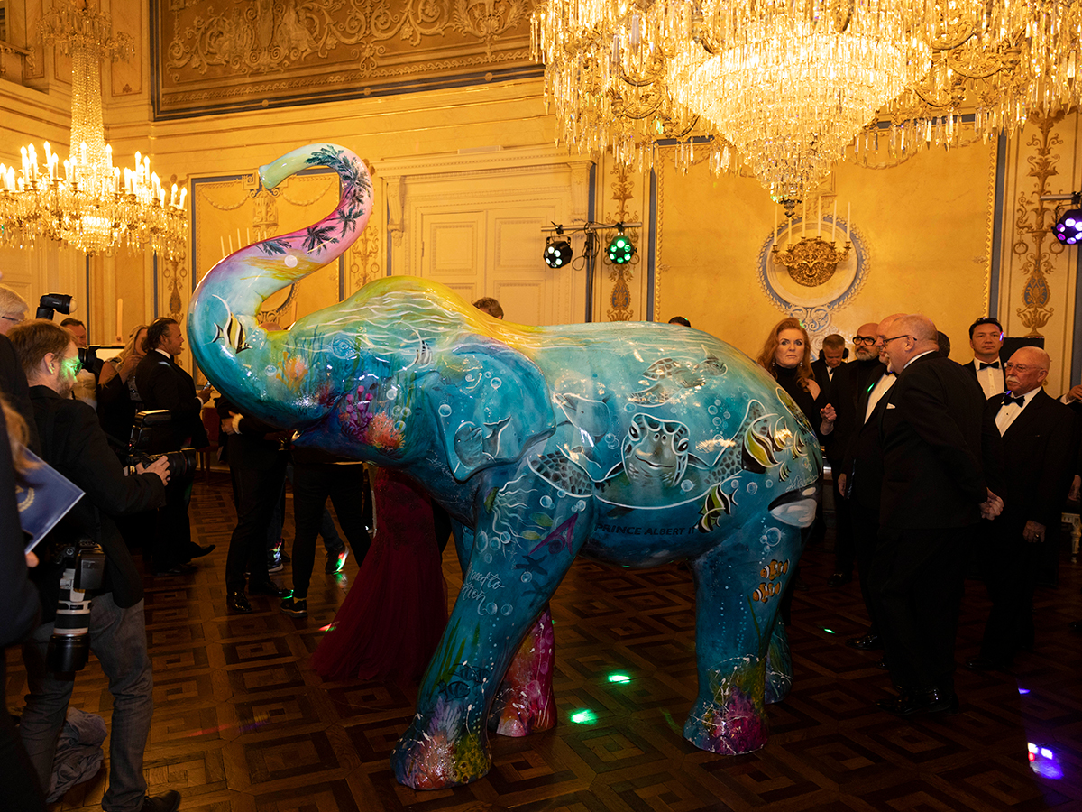 Elephant delivered to the Prince of Monaco on board the world’s largest ocean-going wooden sailing ship 